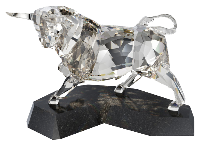 Foto von einem Stier